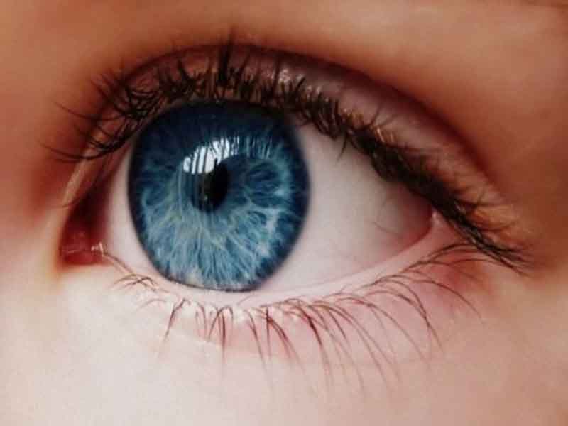 Mắt biếc thường xuất hiện ở người Châu Âu